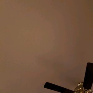 Meet your Posher, Keri